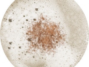 coffe cappuccino 3Dモデル