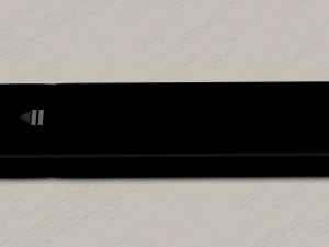 remote controller 3D Model