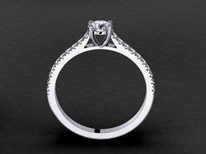 engagement ring model 004 3D Print Model