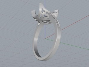 ring 10x8 3D Print Model