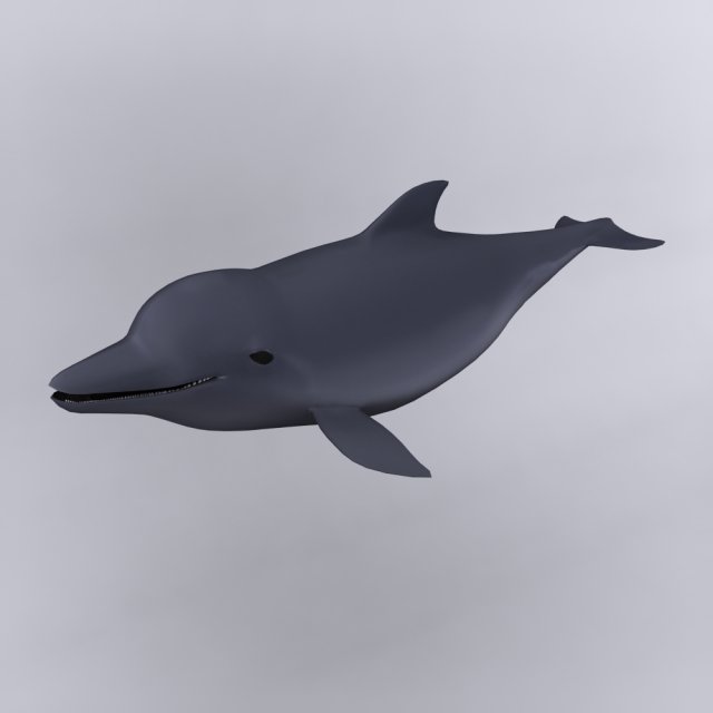 dolphin Modello 3D .c4d .max .obj .3ds .fbx .stl .blend 