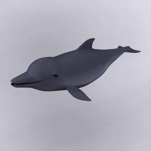dolphin 3D Model .c4d .max .obj .3ds .fbx .stl .blend 