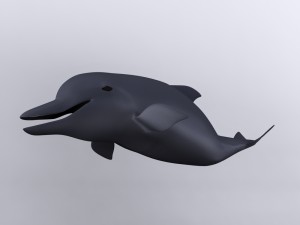 dolphin Modello 3D