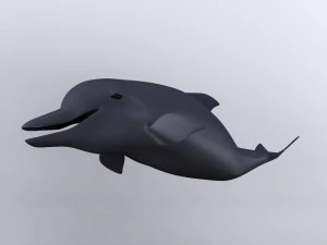 dolphin 3D Model