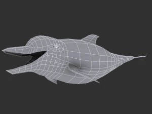 dolphin 3D Model