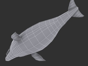 dolphin Modello 3D