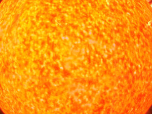 sun model 3D 모델