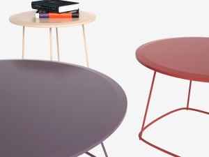 alivar table password set 3D 모델