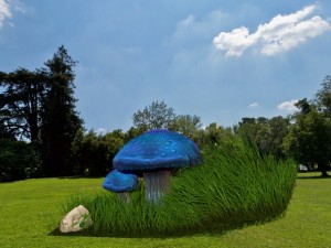blue mushroom Modello 3D