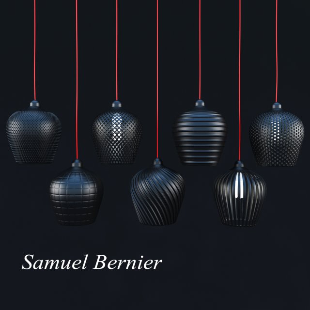 samuel bernier 3D Модель .c4d .max .obj .3ds .fbx .stl .blend 