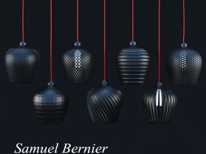 samuel bernier 3D Модель