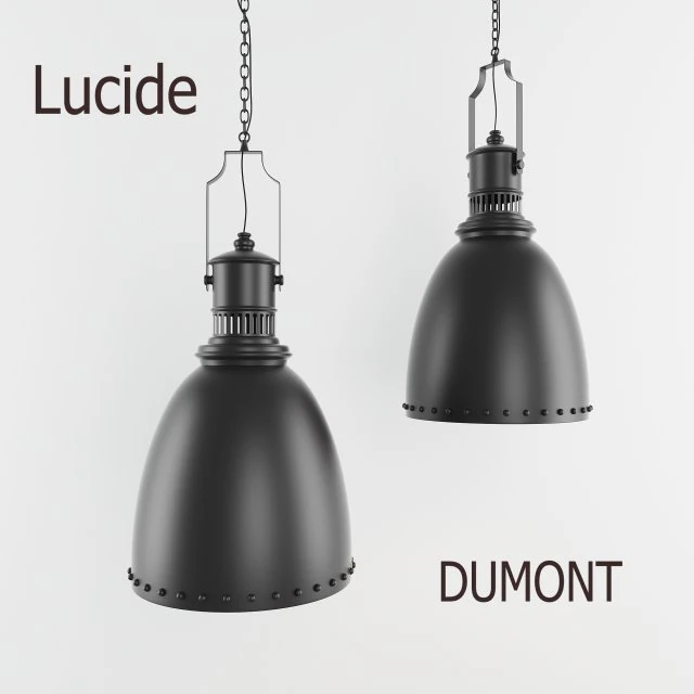 lucide dumont 3D Model .c4d .max .obj .3ds .fbx .stl .blend