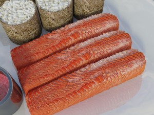 sushi omnomnom 3D Модель