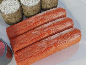 sushi omnomnom 3D Model