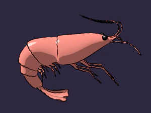 rigged low poly shrimp for animation in blender 3D Model