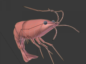 rigged low poly shrimp for animation in blender Modelo 3D