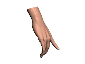 female hand 3D Модель