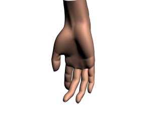 female hand Modèle 3D