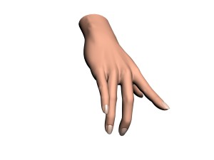 female hand Modèle 3D