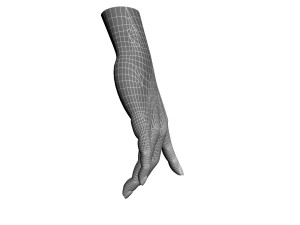 female hand Modèle 3D