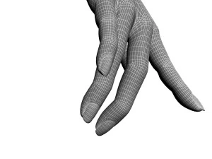 女手 3D 模型