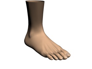 human foot 3D मॉडल