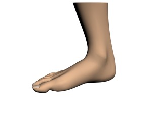 human foot 3D Model
