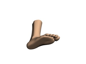 human foot 3D Model