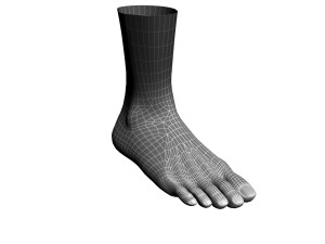 human foot 3D Model