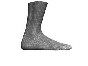 human foot 3D Model
