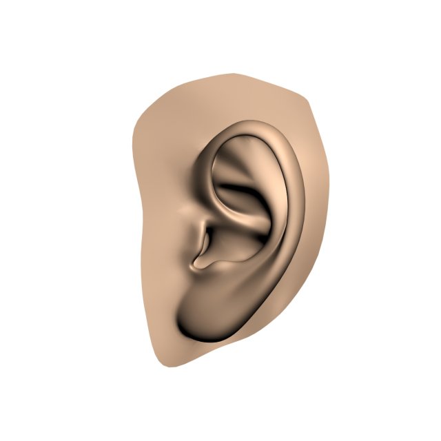 human ear 3D Модель .c4d .max .obj .3ds .fbx .stl .blend 