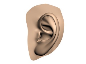 human ear 3D मॉडल
