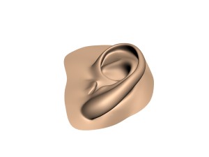 human ear 3D Модель