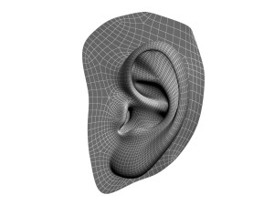 human ear 3D Модель