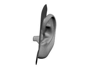 human ear 3D Модель
