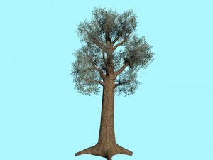 tree low poly 3Dモデル