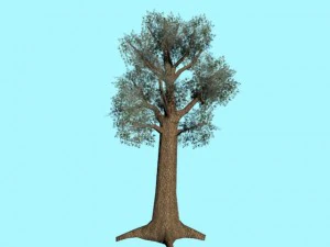 tree low poly 3D Model