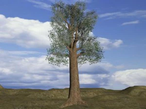 дерево низкополигональная 3D Модель