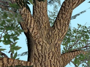 tree low poly 3Dモデル