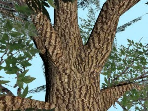 tree low poly 3D Model