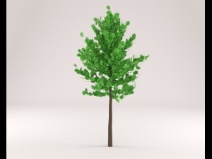 tree 3D-Modell