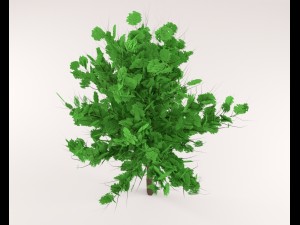tree 3D 模型
