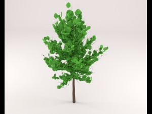 tree 3D 模型