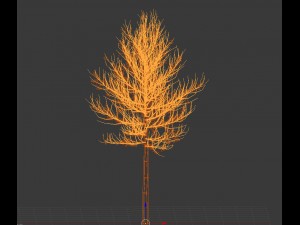 tree 3D 模型