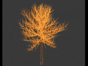 tree 3D 模型