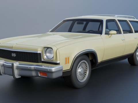 Chevrolet Chevelle Wagon 1973 3D Print Model