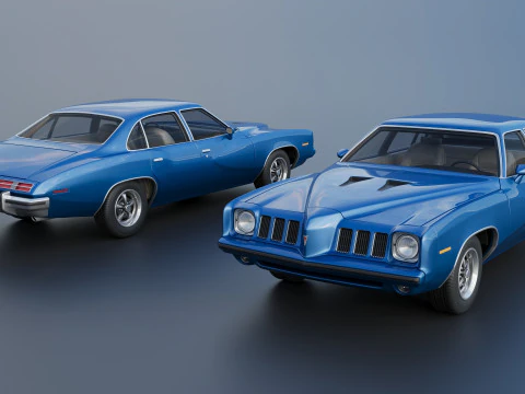 Pontiac Grand Am 4 Door 1973 3D Print Model