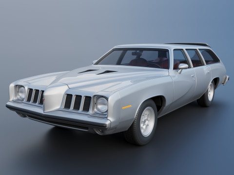 Pontiac Grand Am Station Wagon 1973 3Dプリントモデル