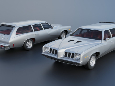 Pontiac Grand Am Station Wagon 1973 3D Print Model