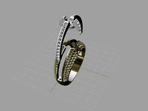 ring 3D Print Model